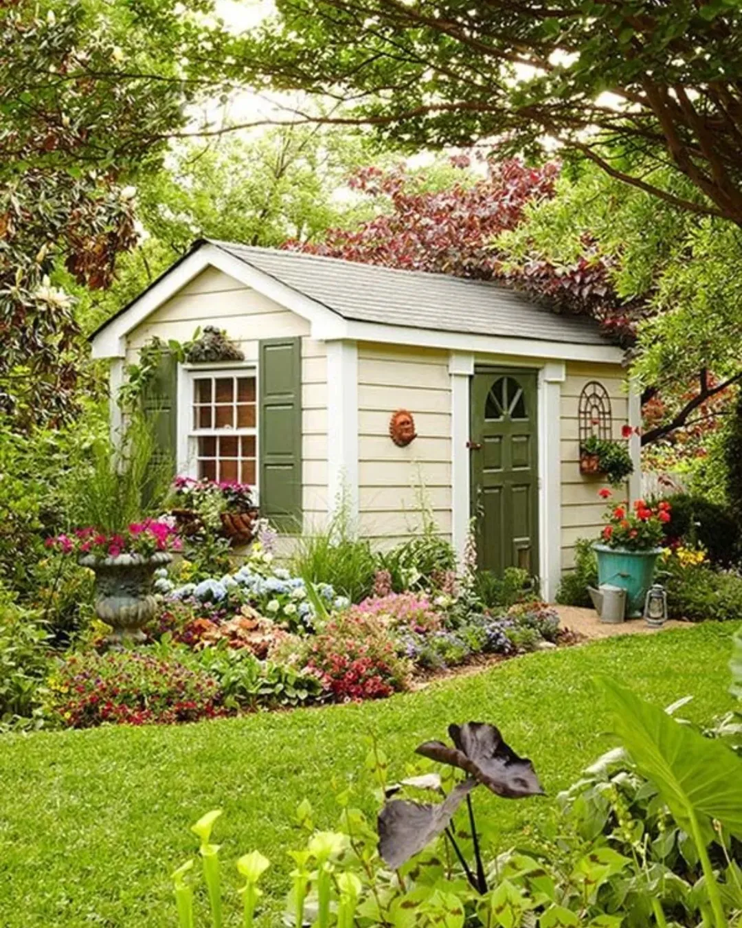 Vibrant Plant Haven