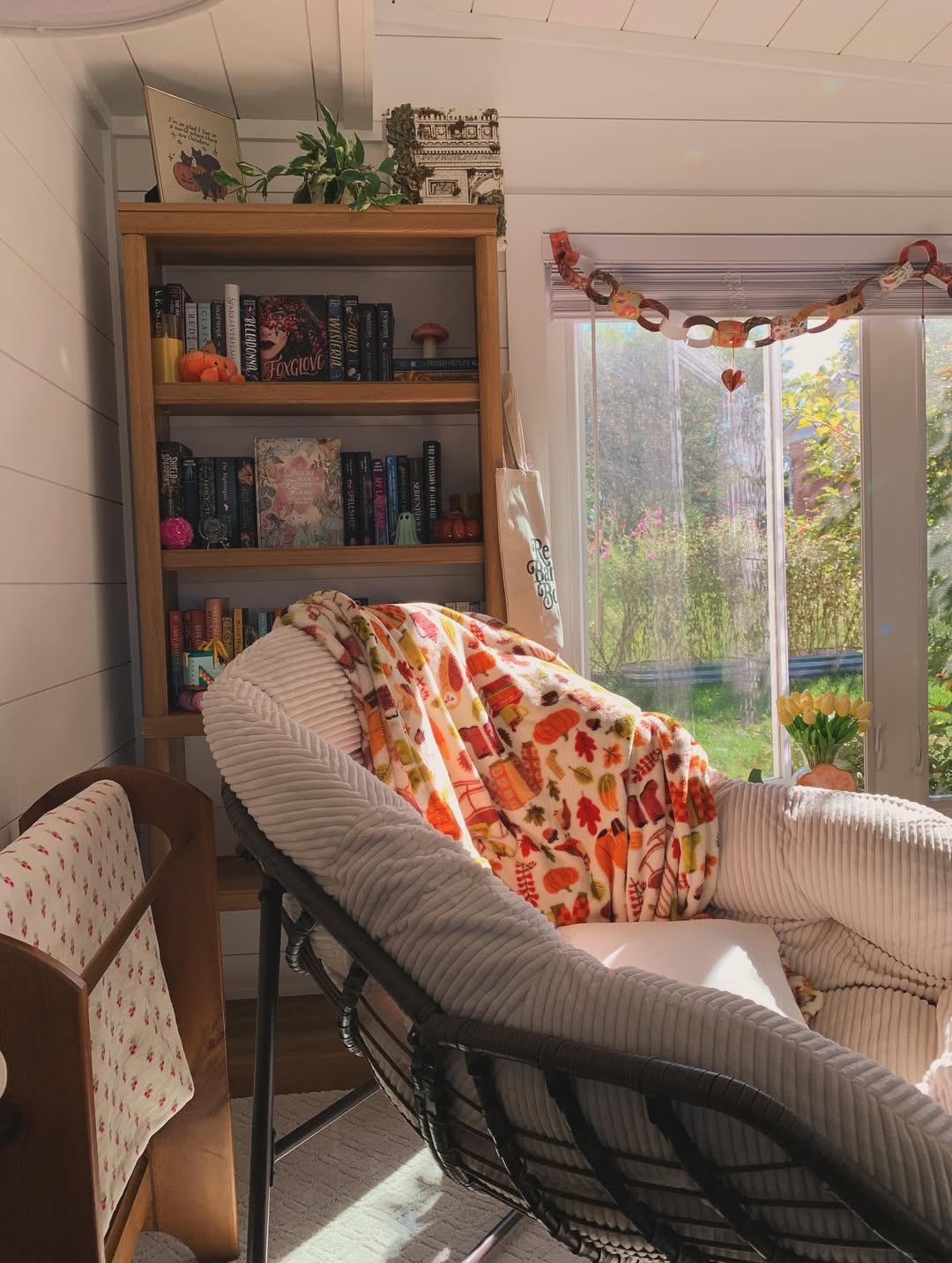 Autumn Sunshine