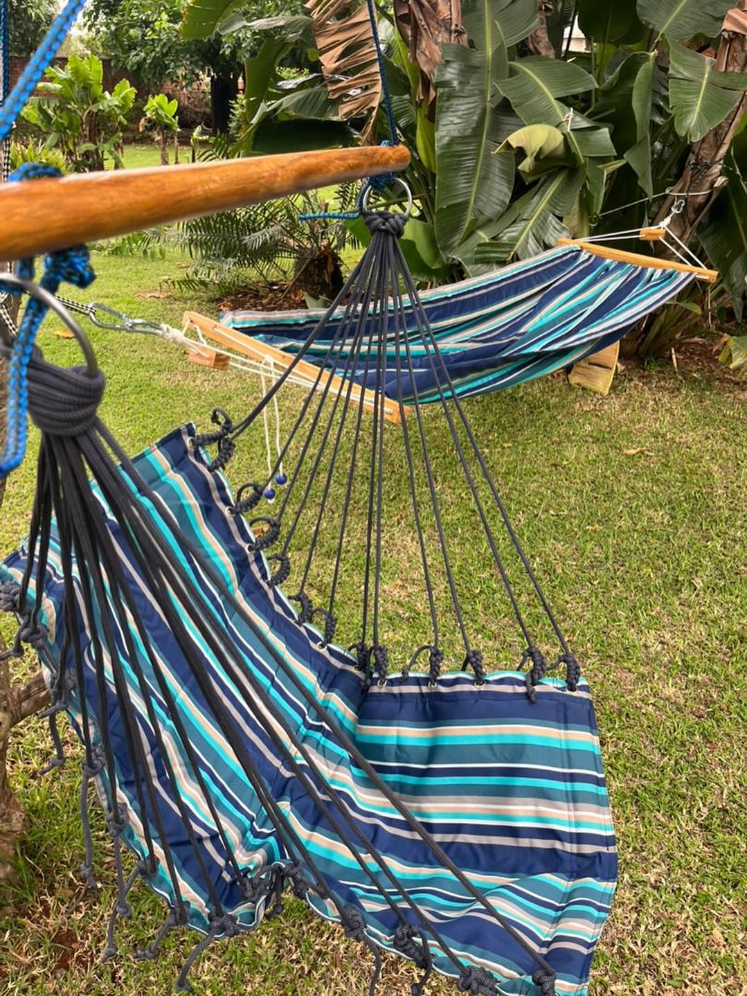 Playful Backyard Fun