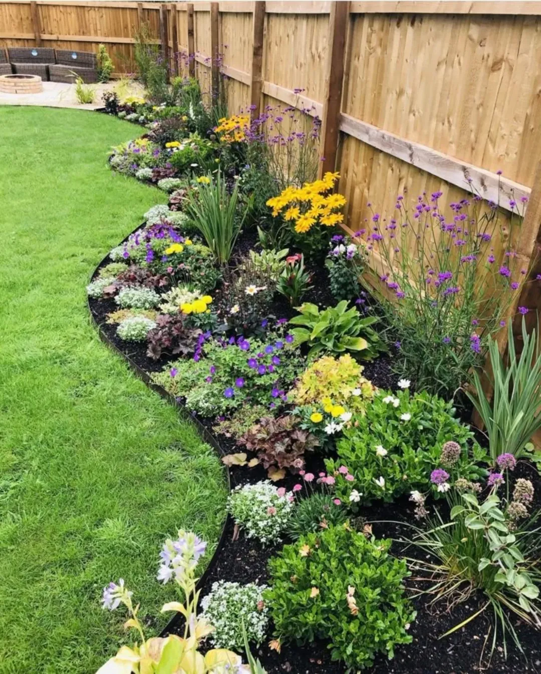 Fence-Line Blooms