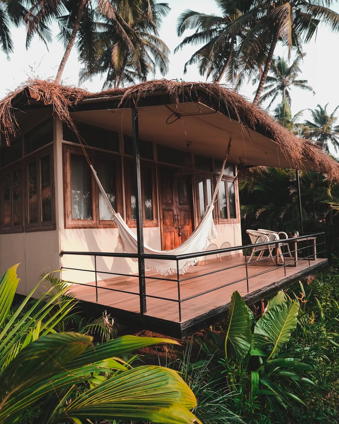 Jungle Hideaway Calm