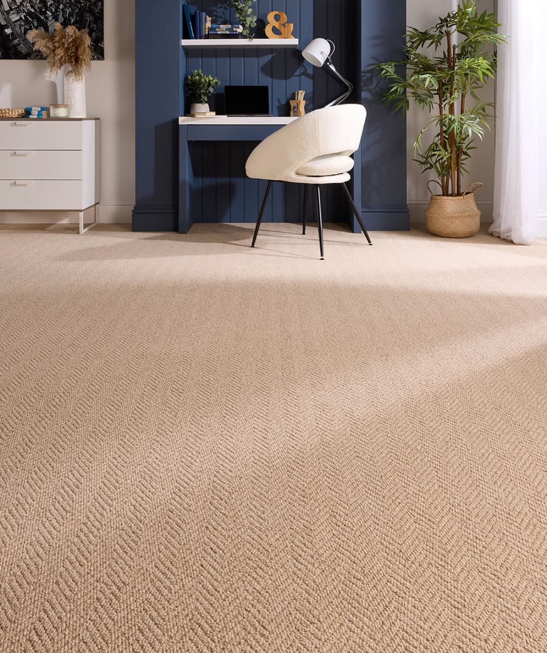 Clean Contemporary Carpet