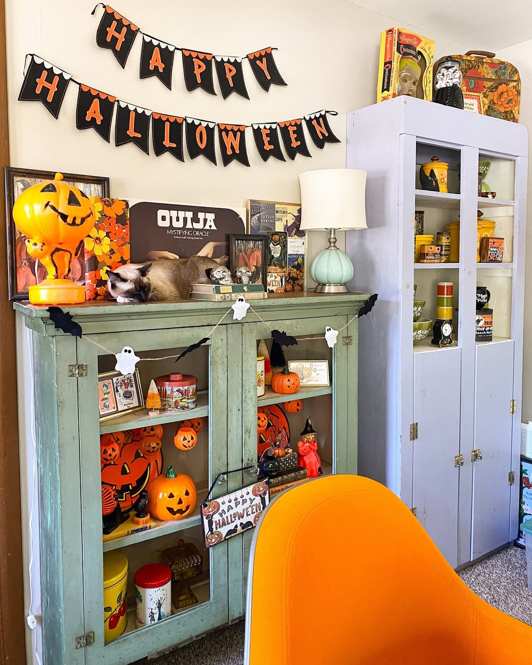 Banner & Collectibles