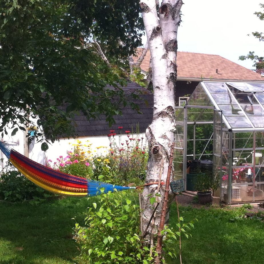 Backyard Country Pause