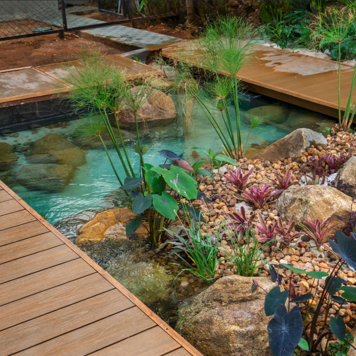 Modern Deck Pond