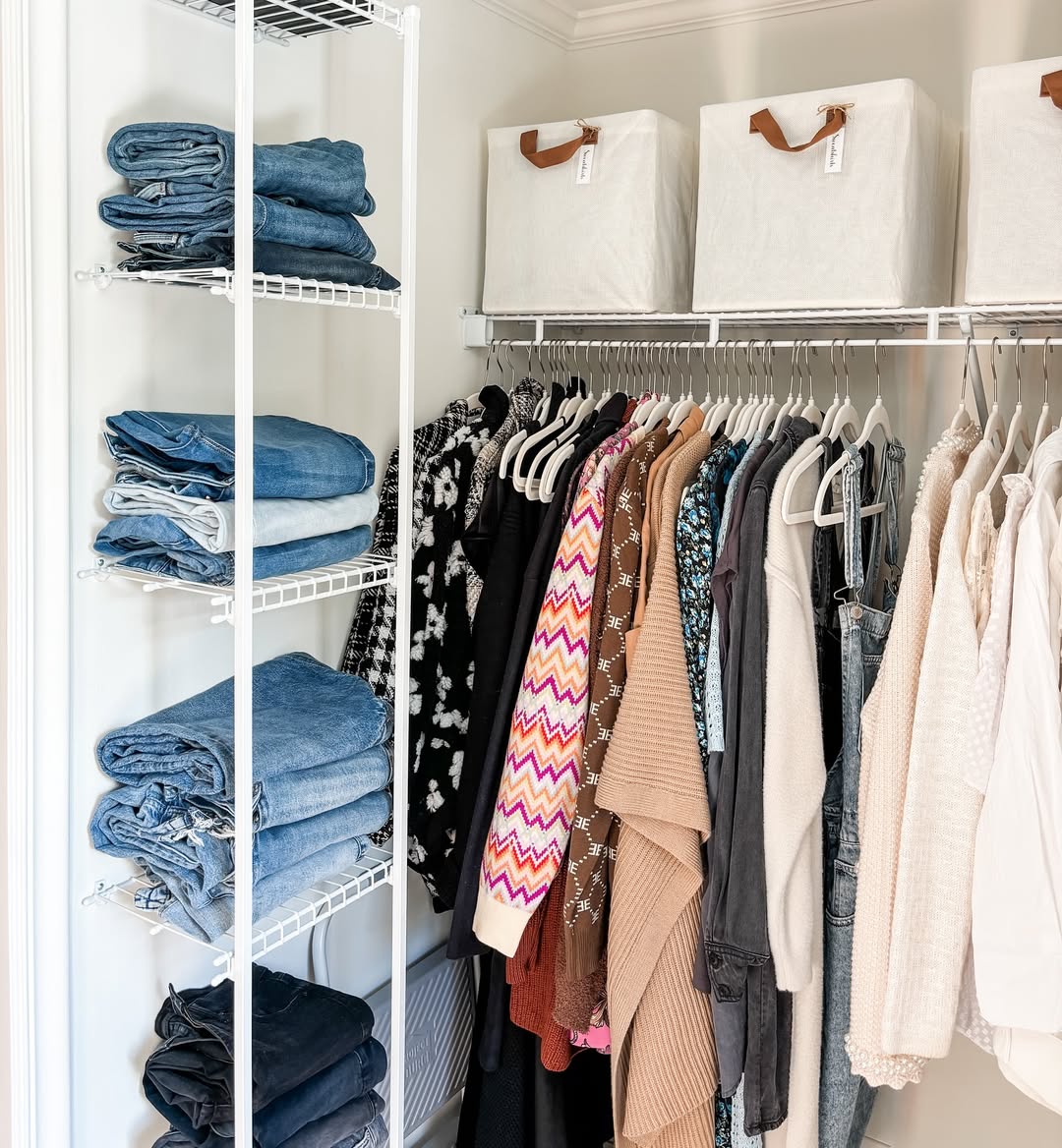 Denim & Neutrals Harmony