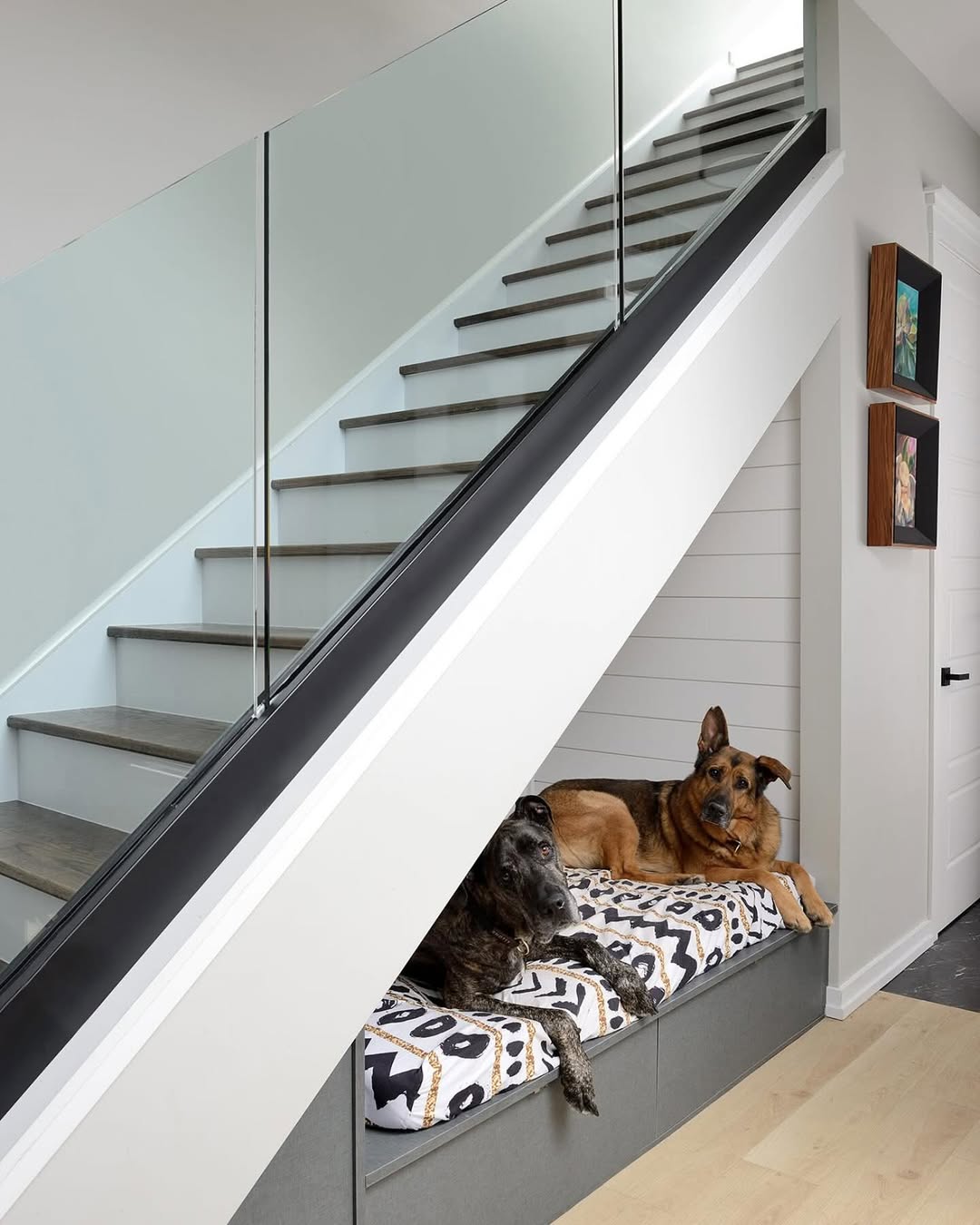 Two dogs are lying on a patterned cushion in a built-in nook under a modern staircase with glass railing, showcasing clever pet bedroom ideas and stylish pet room decor.
