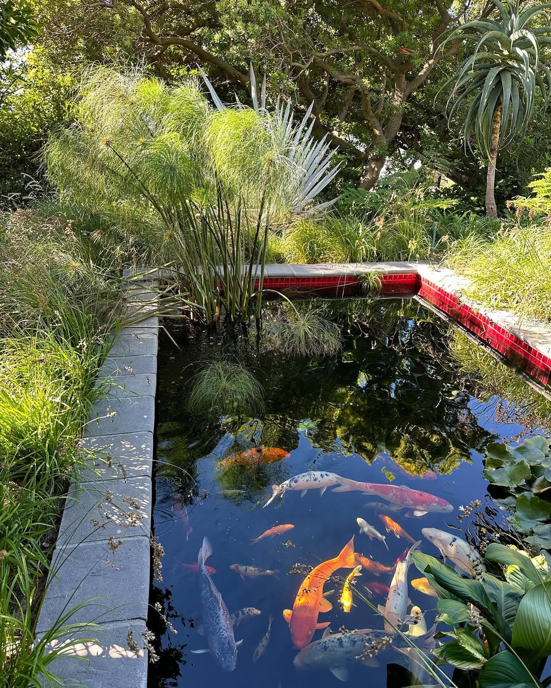Architectural Fish Pond