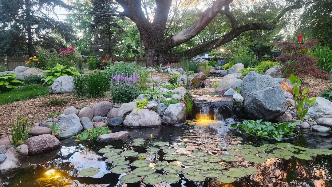 Serene Floral Pond