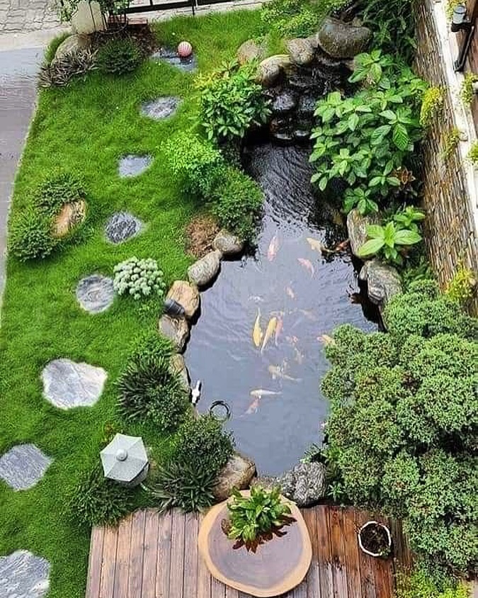 Koi Garden Pond