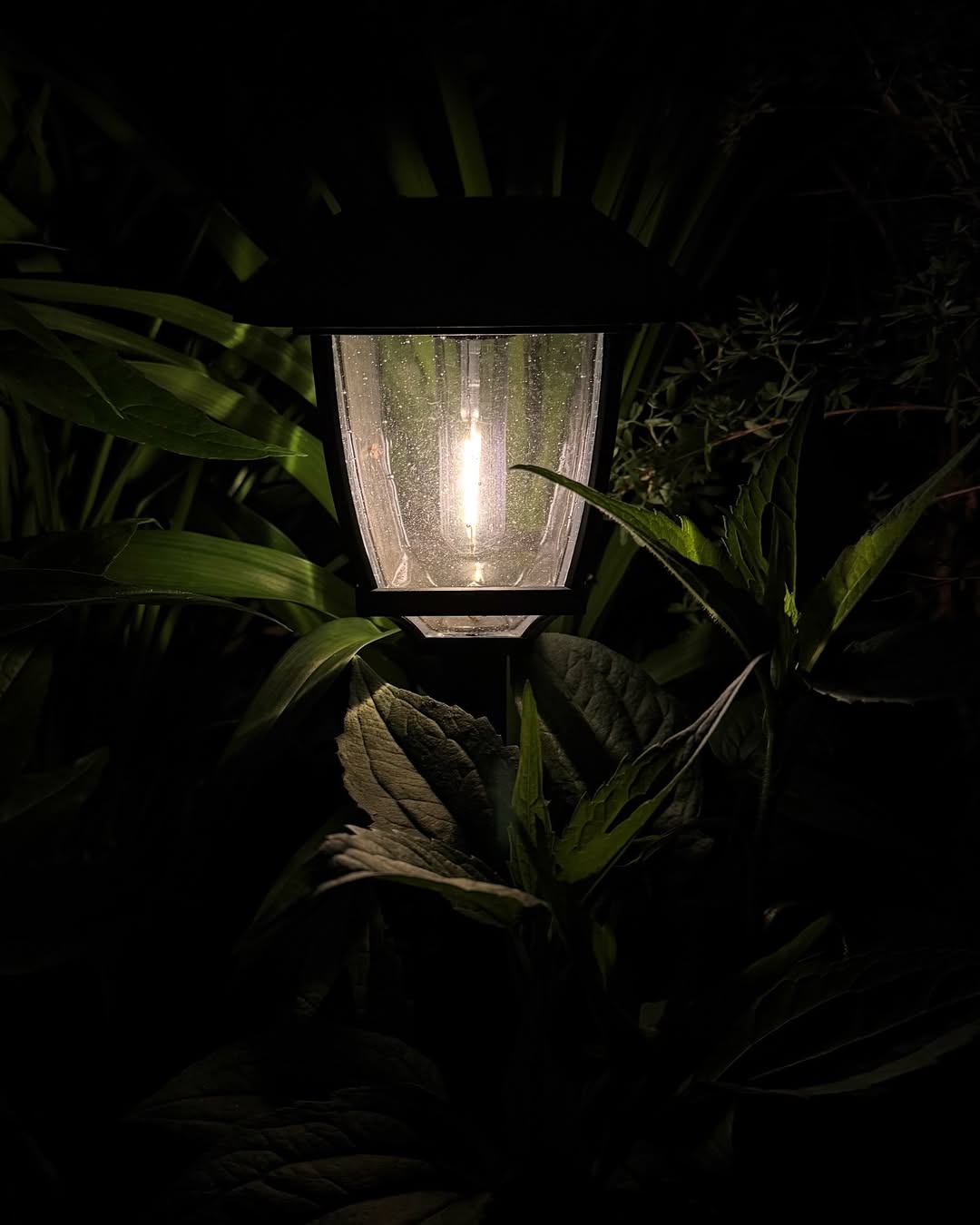 Twilight Garden Lantern