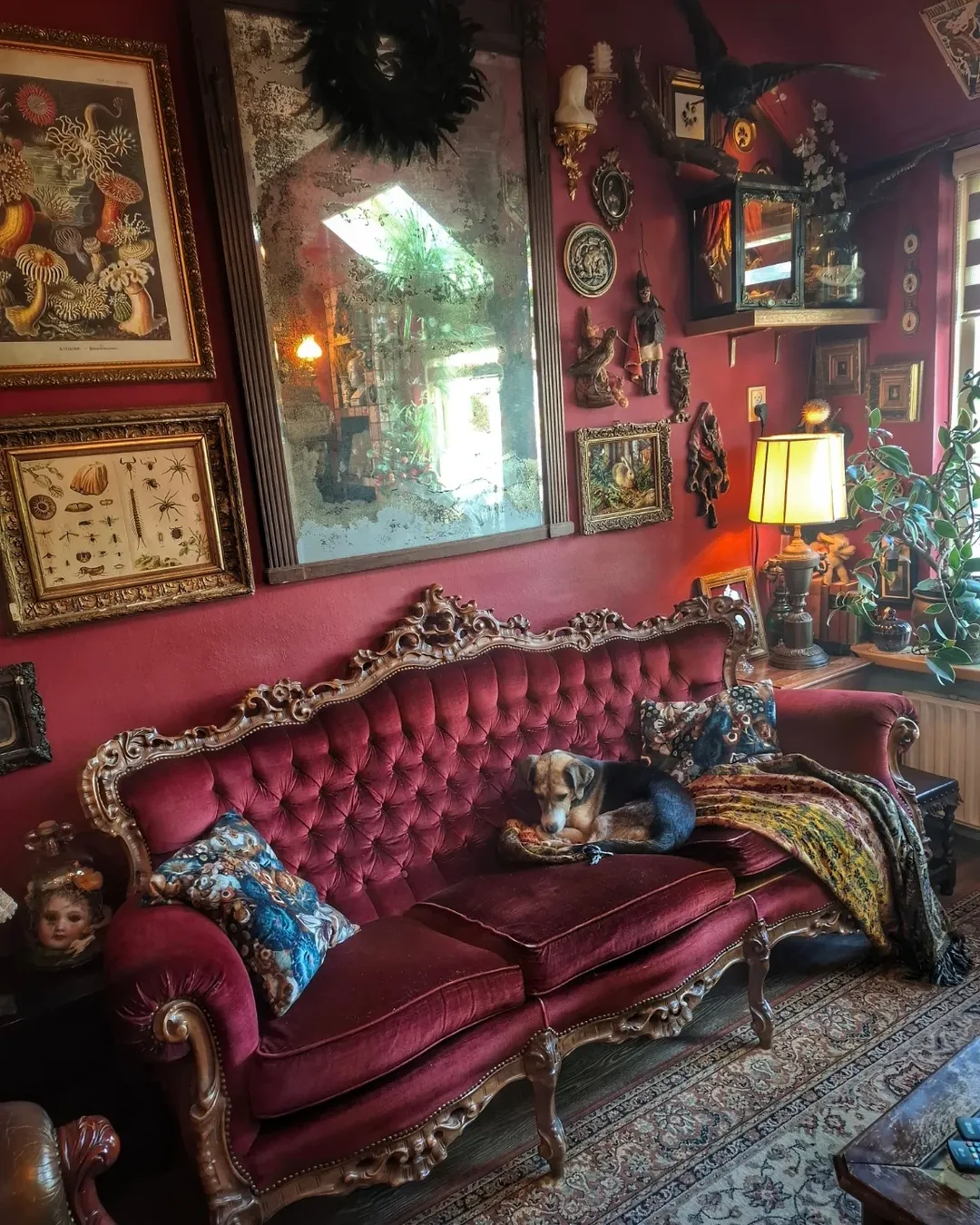 Gothic Salon Vibes