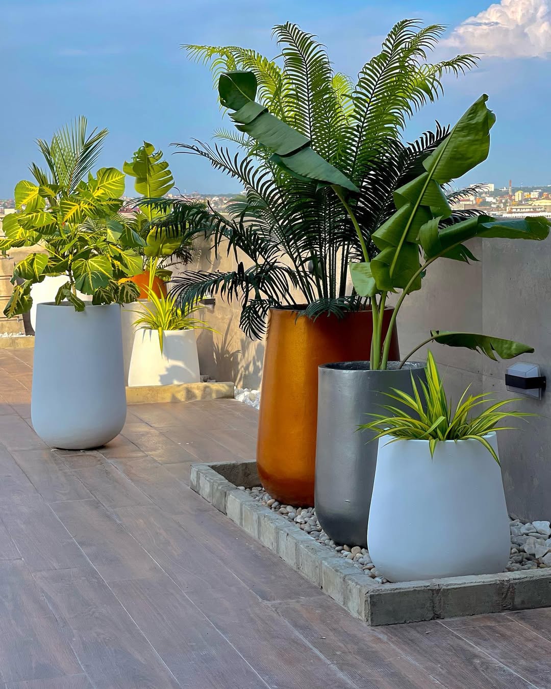 Rooftop Planter Cluster