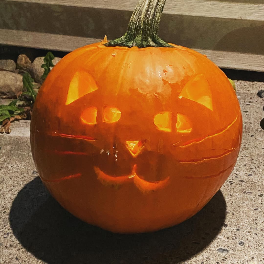 Purring Pumpkin