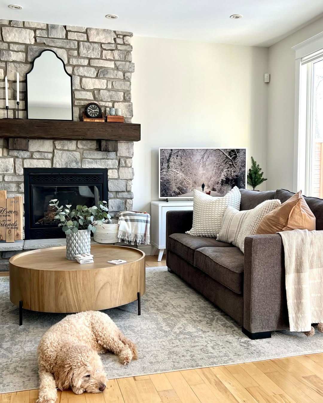 Cozy Modern Living