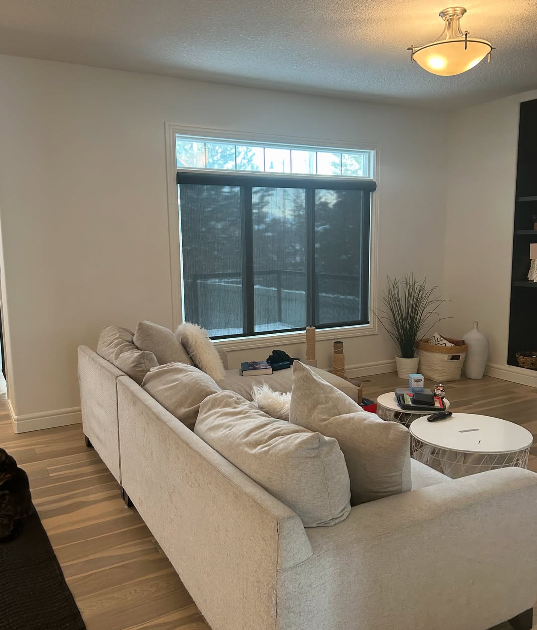 A modern living room with a light sofa, round white coffee table, large window with blinds, floor plant, and built-in shelves against a white wall—perfect inspiration for organic modern living room ideas.