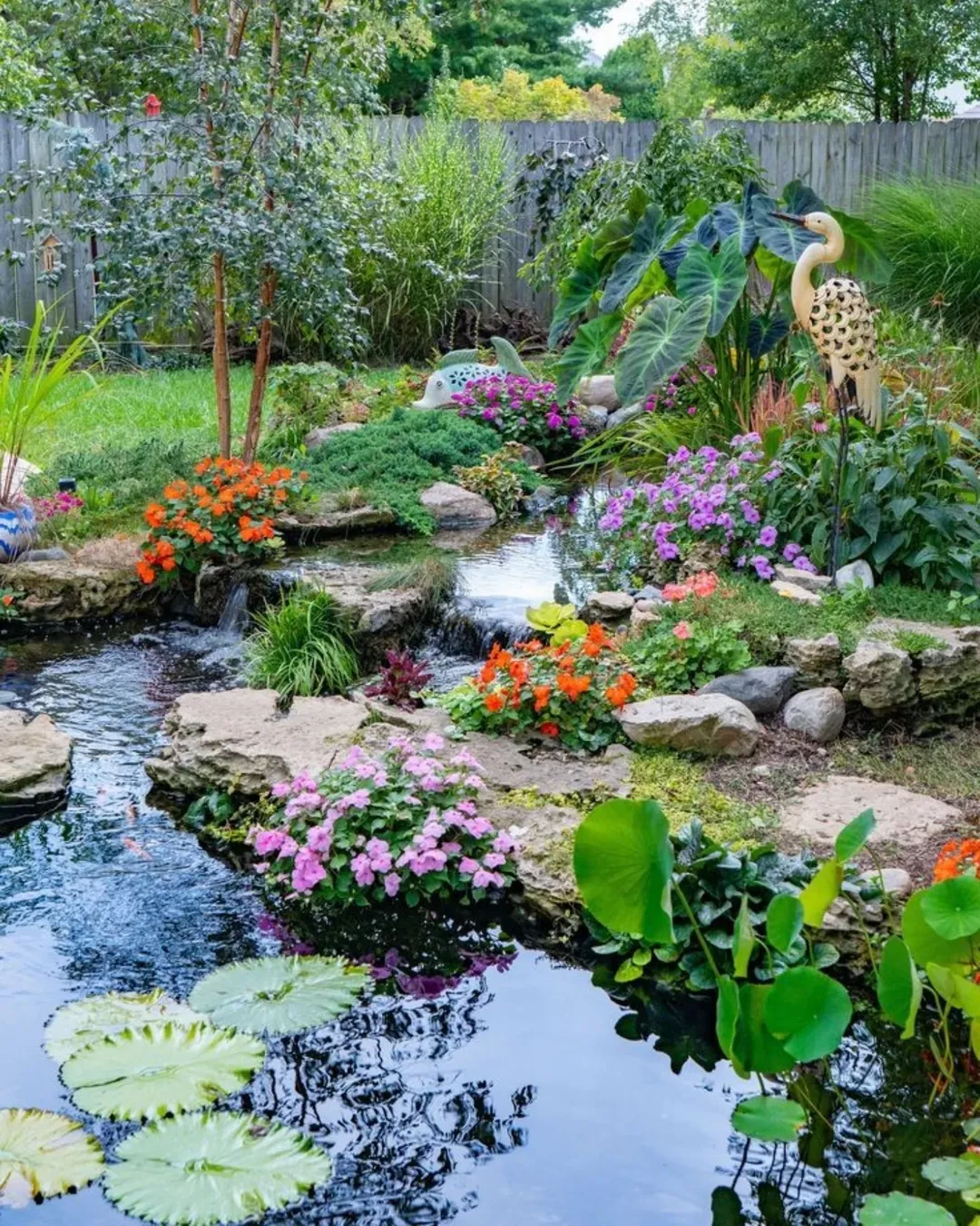 Nature-Loving Pond