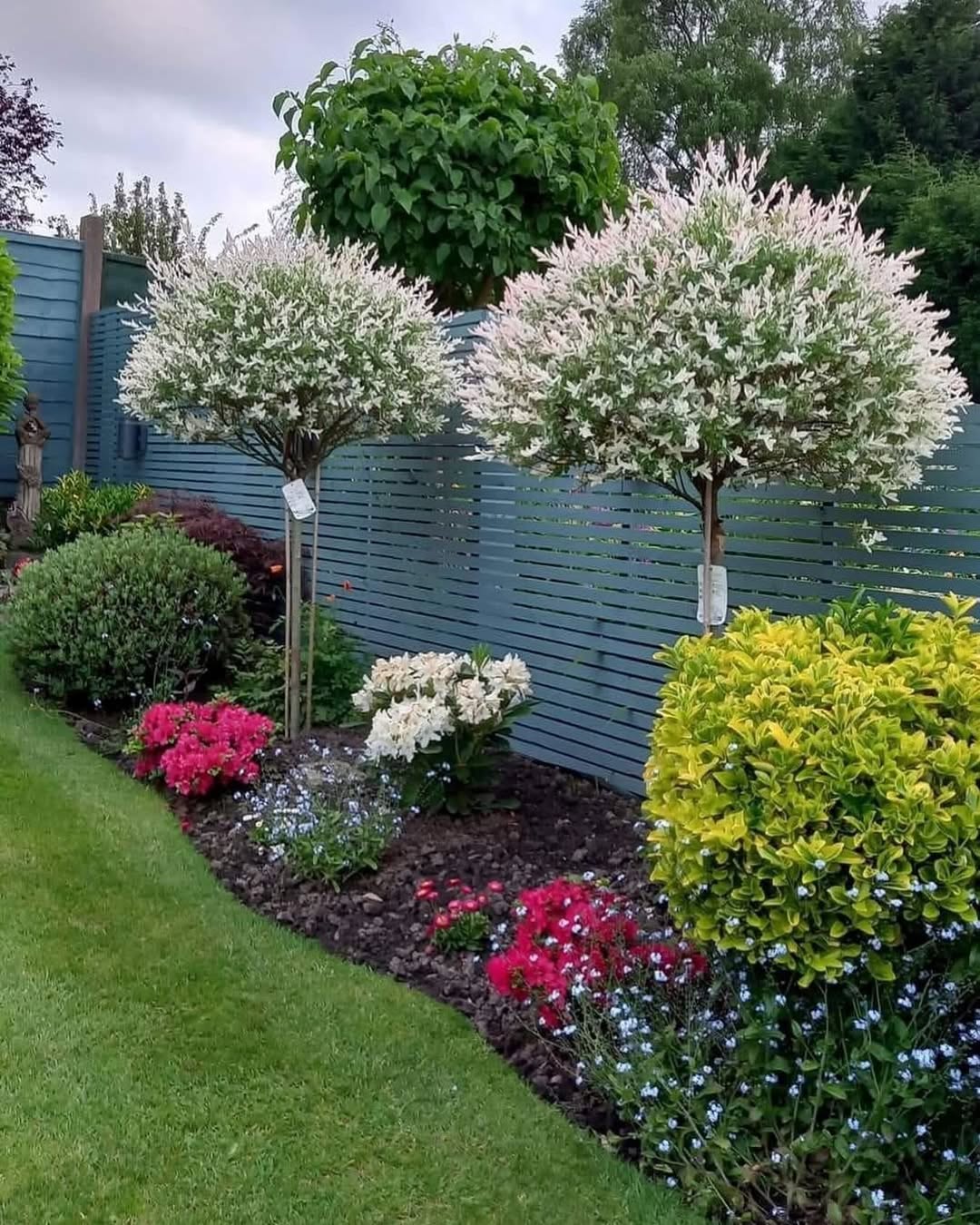 A neatly maintained garden with green lawn, flowering shrubs, small trees with white and pink foliage, and blue fencing in the background—perfect inspiration for fresh garden ideas and upcoming garden trends 2025.