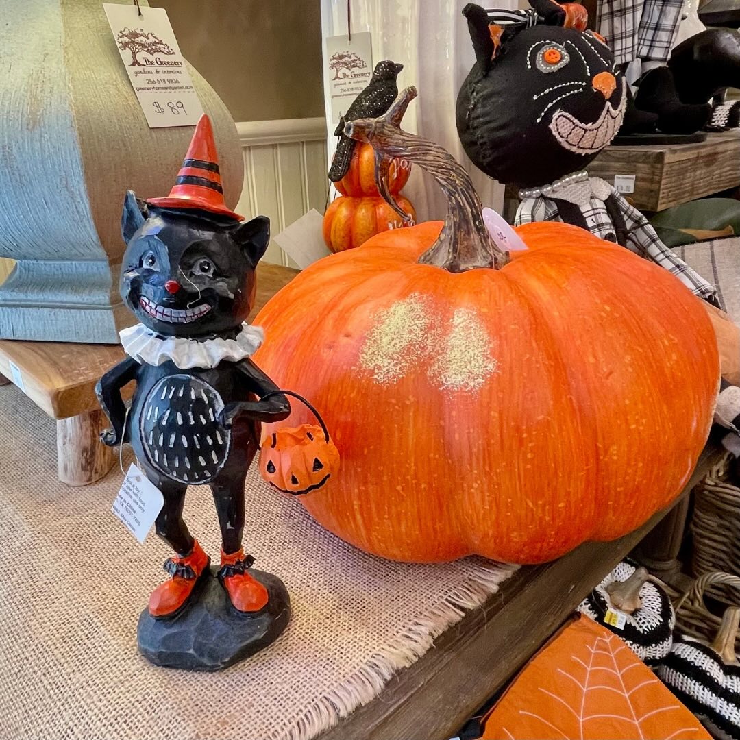 Whimsical Black Cat