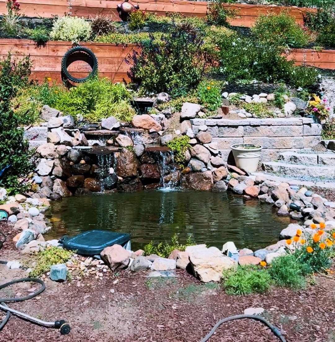 Hillside Garden Pond
