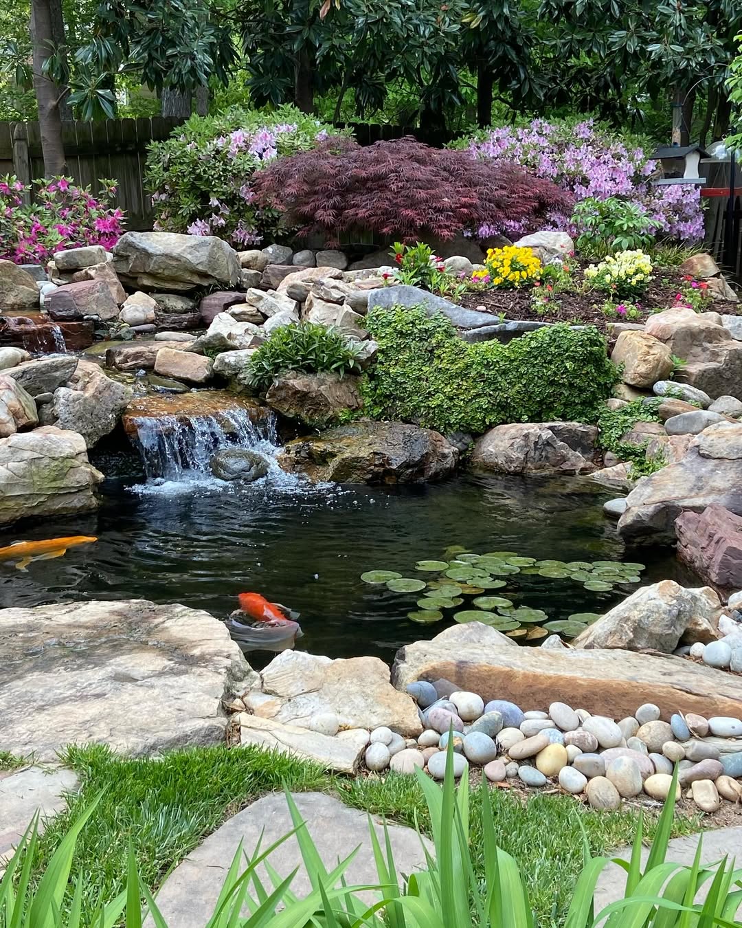 Cascading Koi Pond
