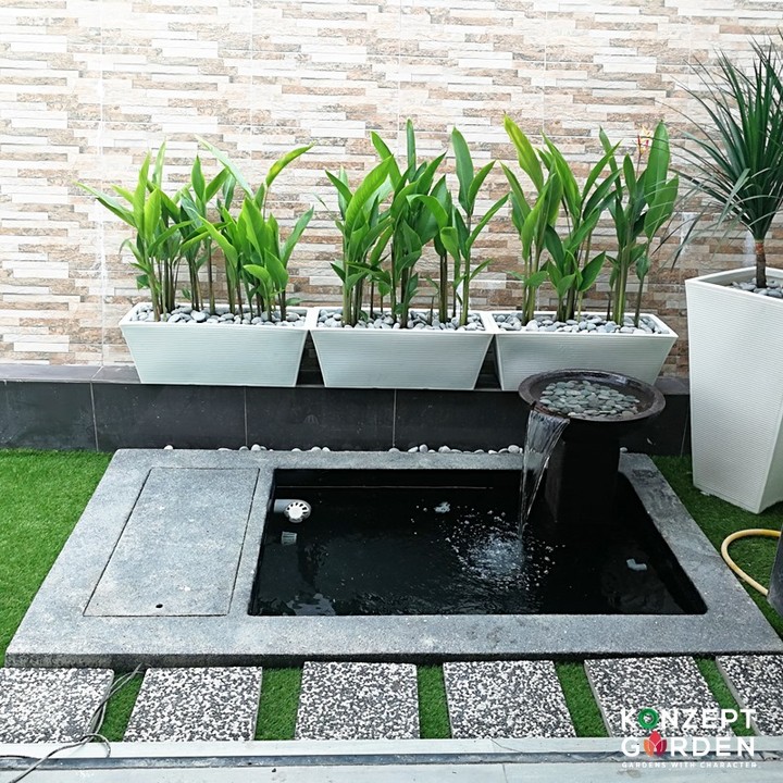 Potted Plant Pond