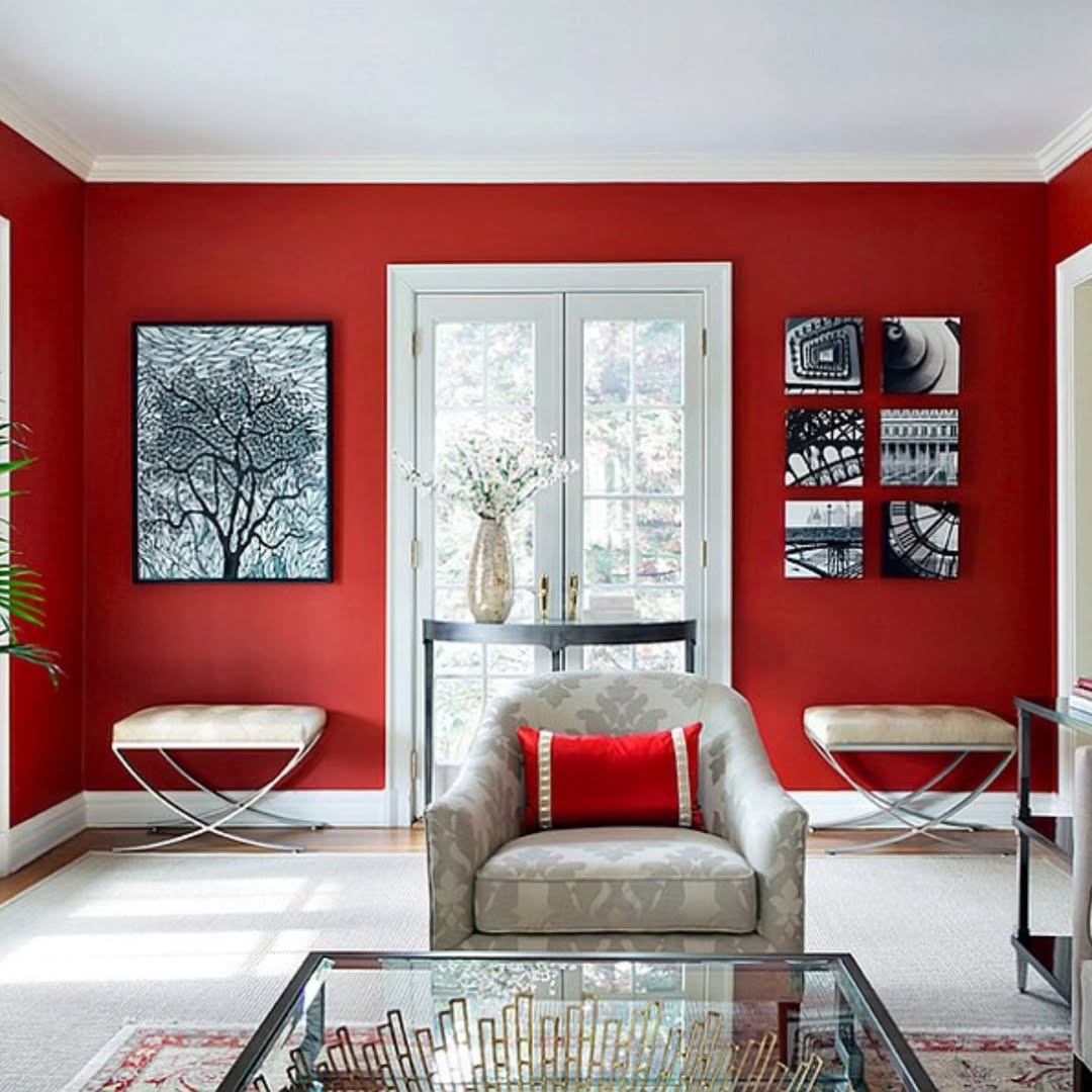 Graphic Red Backdrop