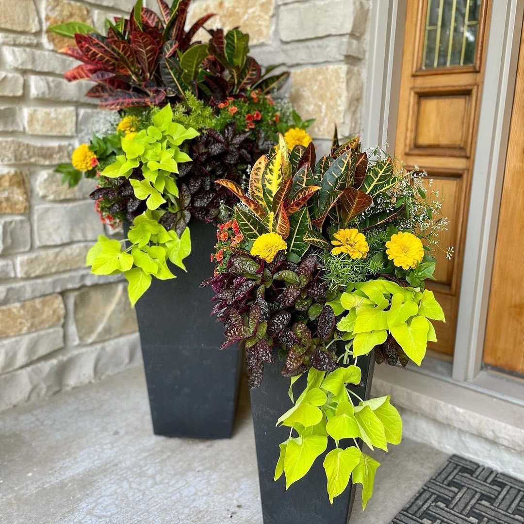 Saturated Front Door Towers