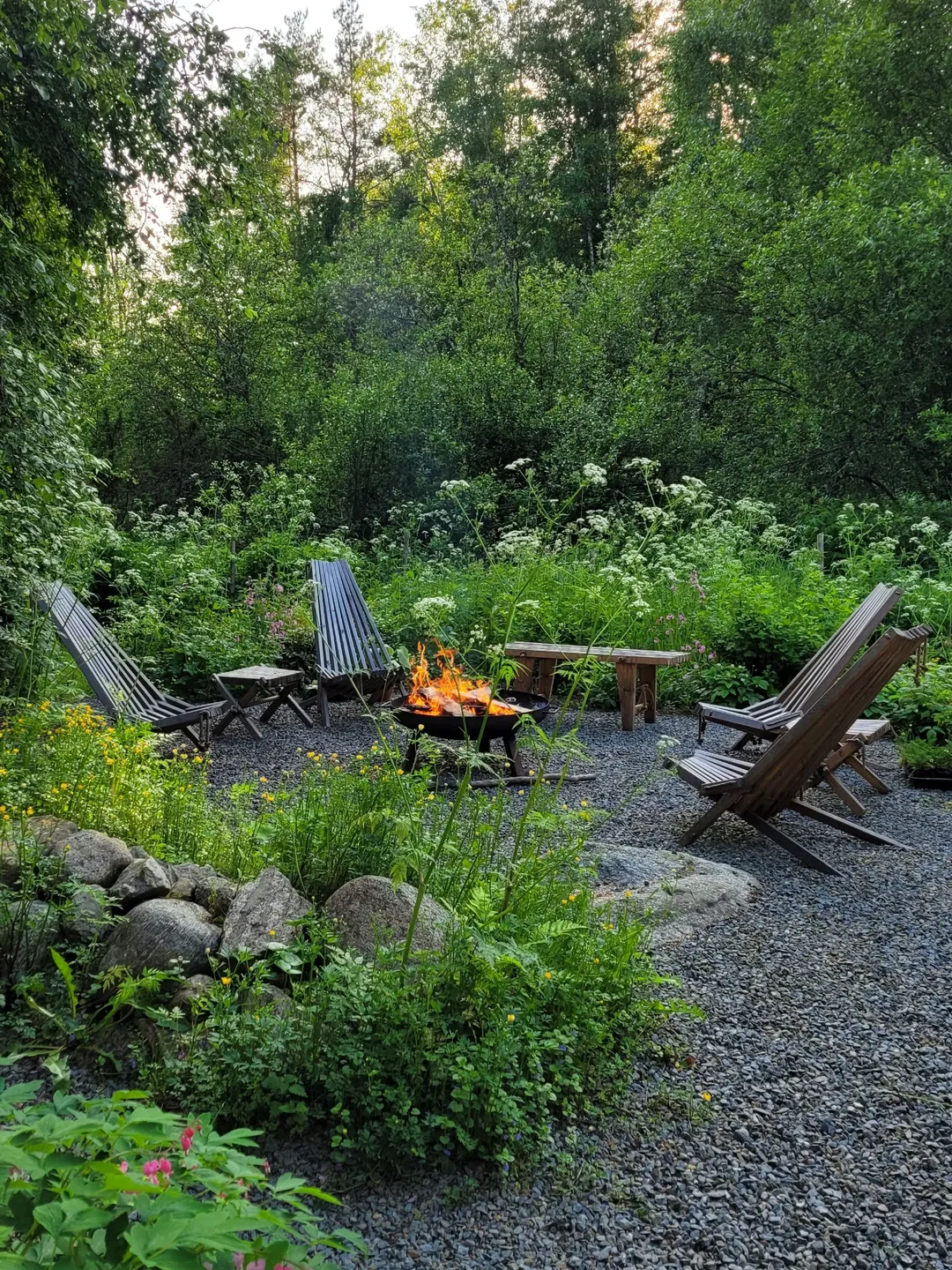 Forest Hideaway