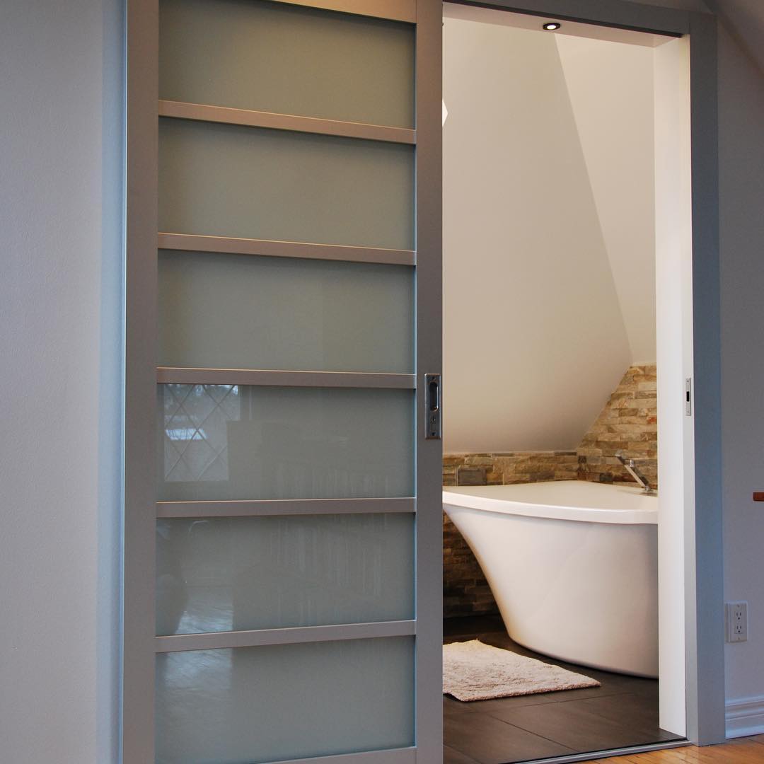 Frosted Panel Serenity Door