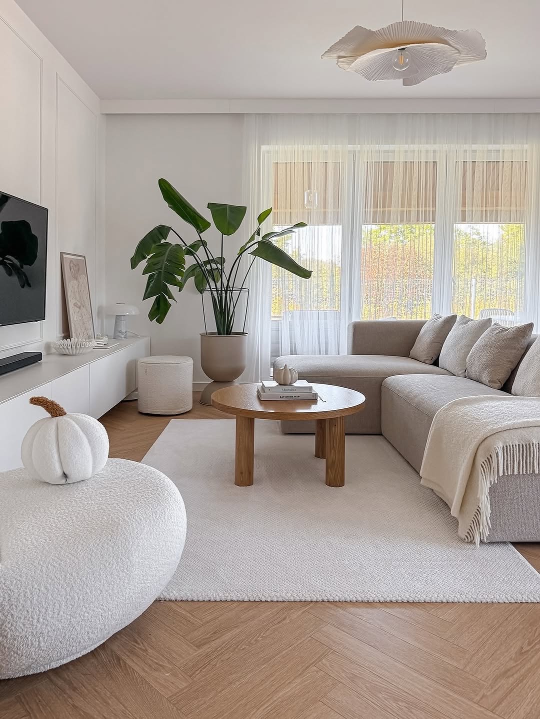 Light-Filled Soft Living