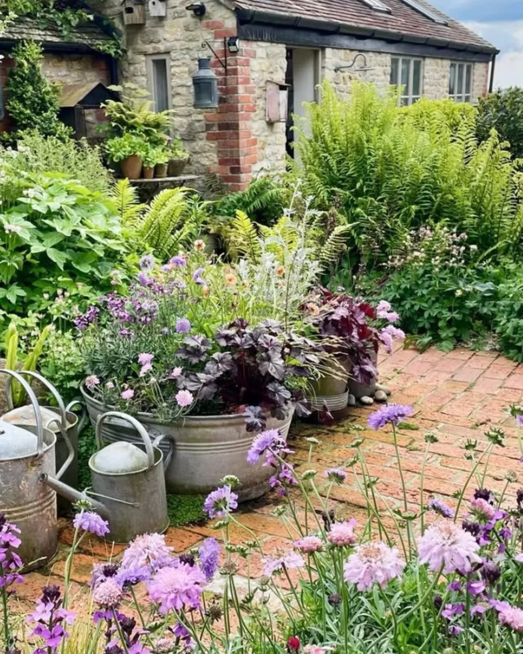 Tin Planter Spread