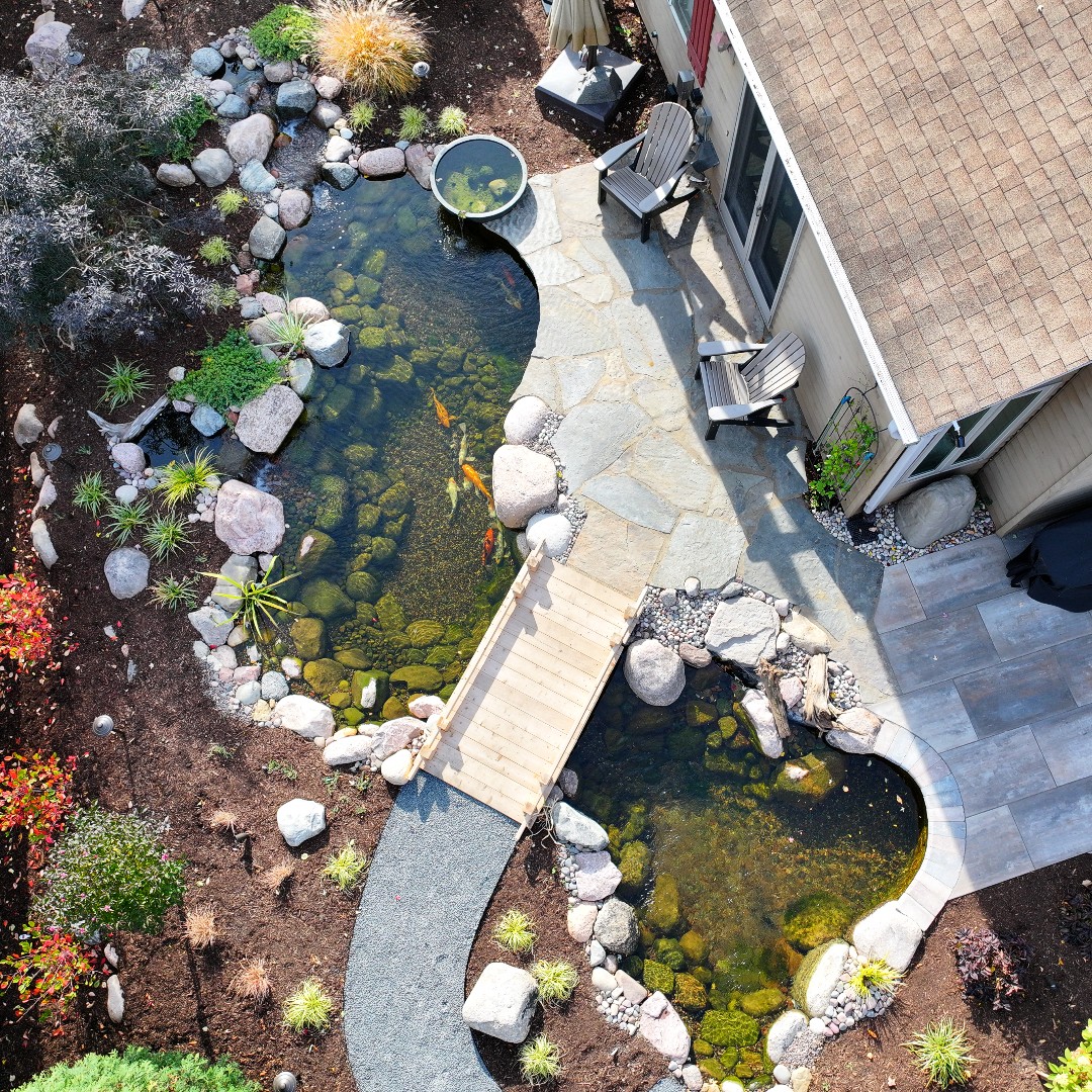 Twin Koi Ponds