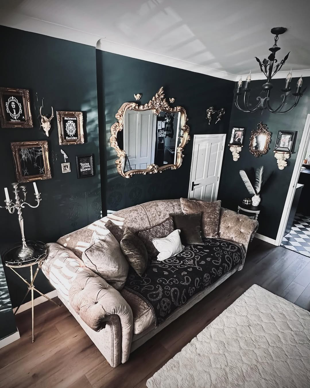 Velvet & Shadows