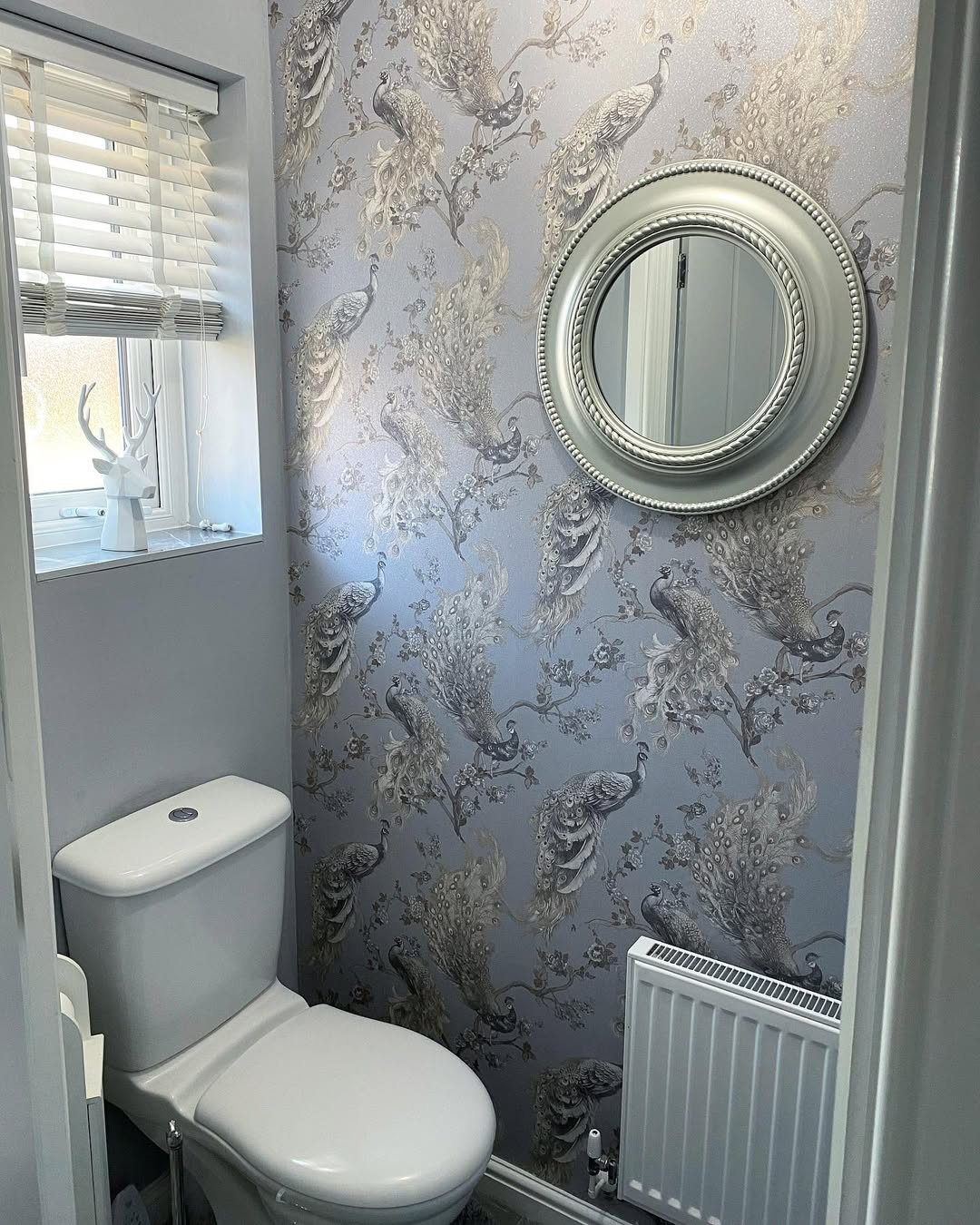 Soft Glam Wallpaper Moment