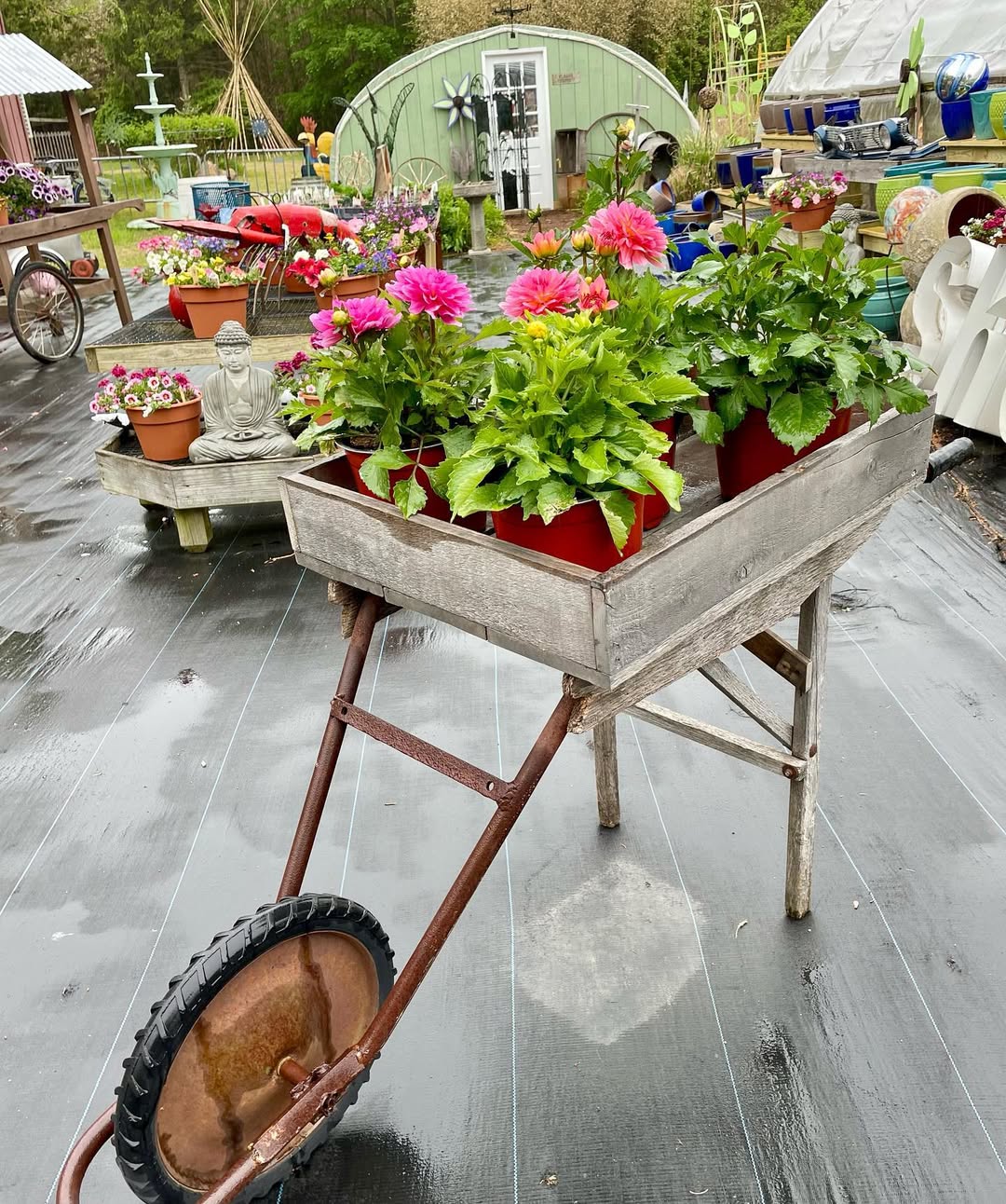 Wheelbarrow Planter Idea